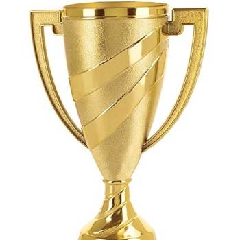 Customised Trophies Manufacturers in Delhi