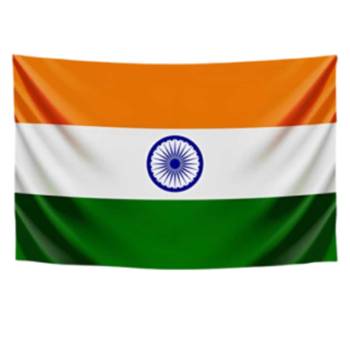 India Flag in Delhi